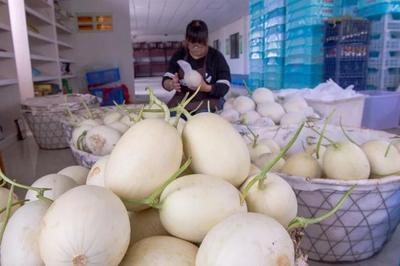 浦东率先启动食用农产品“一证一码”追溯新机制，年内力争实现全覆盖