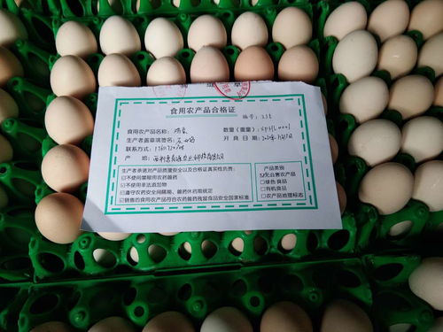 西平县多措并举扎实推进食用农产品合格证试点工作